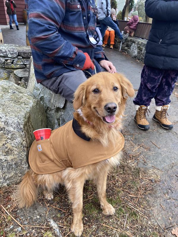 Carhartt Duck Canvas Chore Coat, Orange, M P000034080103