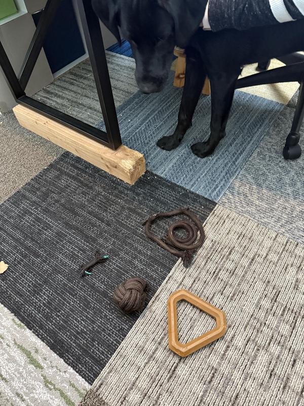 Photo - commentaire&nbsp;1.