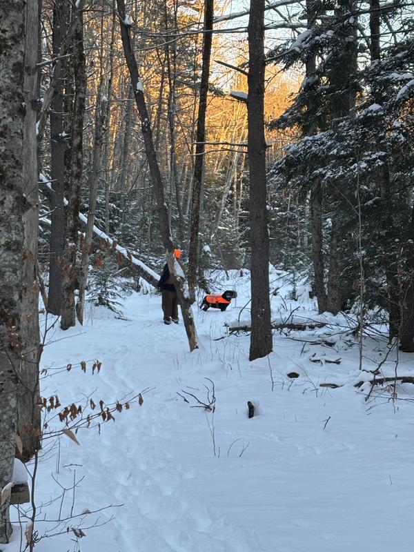 They feel so in charge and love their vests best buddies ever