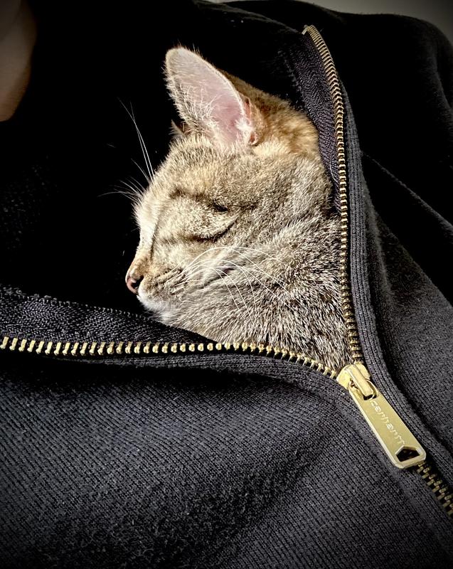 Photo - commentaire&nbsp;1.