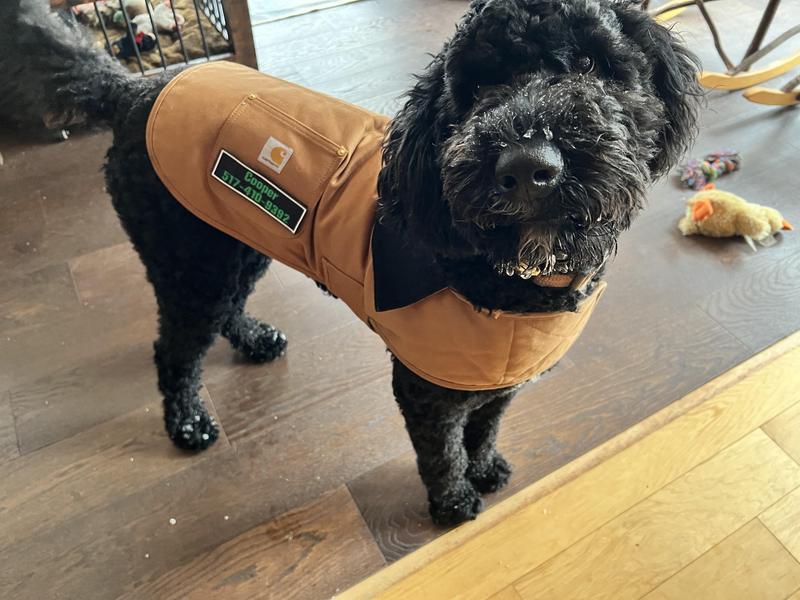 Carhartt Extra Large Chore Dog Coat P000054880105 Blain's Farm