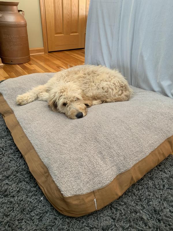 Carhartt Sherpa Top Dog Bed Hike & Camp