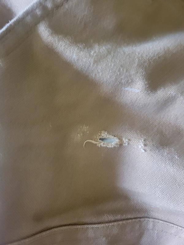 Photo submitted with review of product