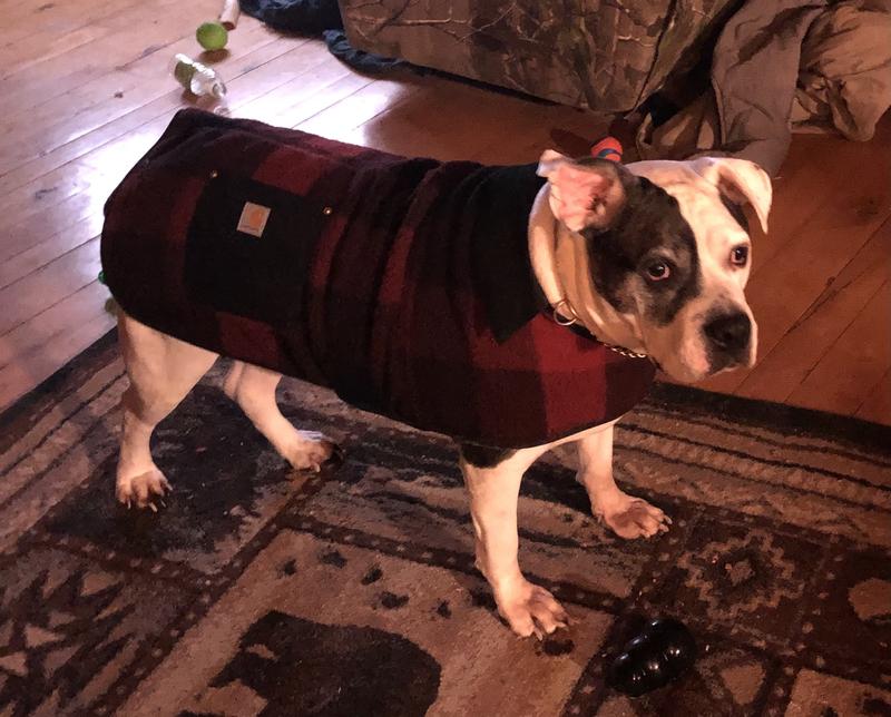 Carhartt Sherpa Insulated Dog Chore Coat