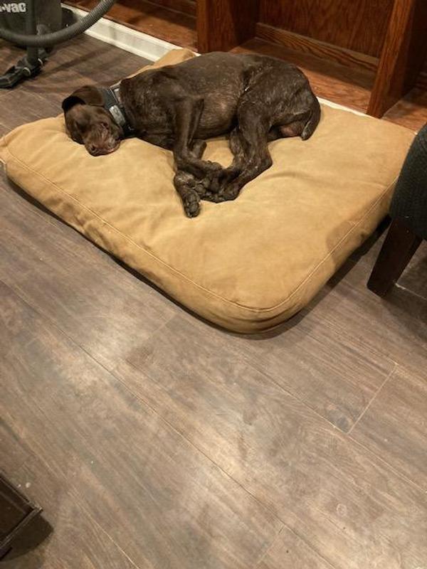 Rare moment of non-activity for GSP