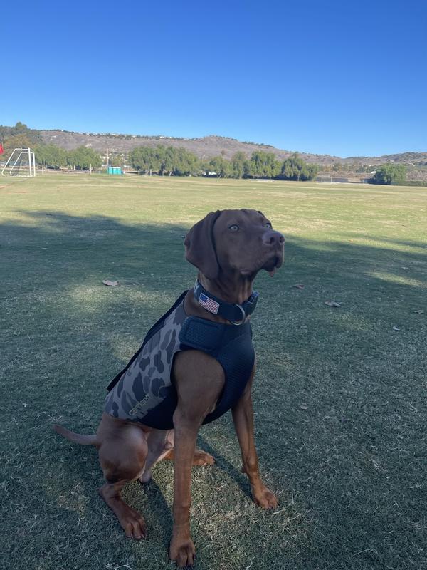 Camo neoprene dog clearance vest