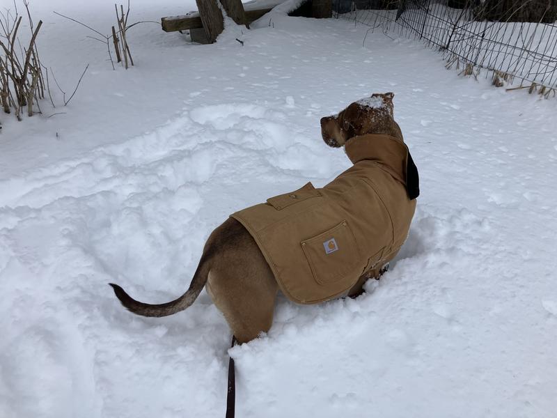 Photo - commentaire&nbsp;2.