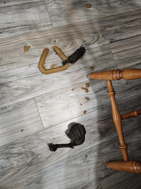 Photo - commentaire&nbsp;2.