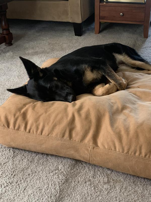 Carhartt Brown Durable Canvas Dog Bed, 28