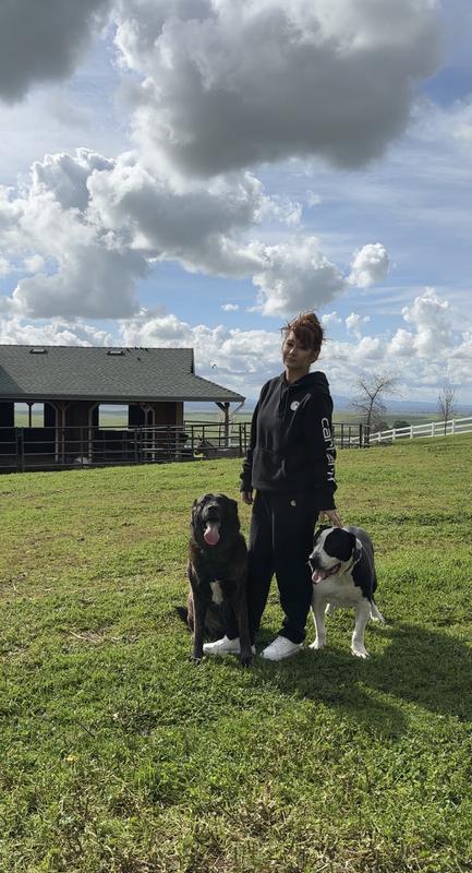 These with the Detroit sneakers were perfect