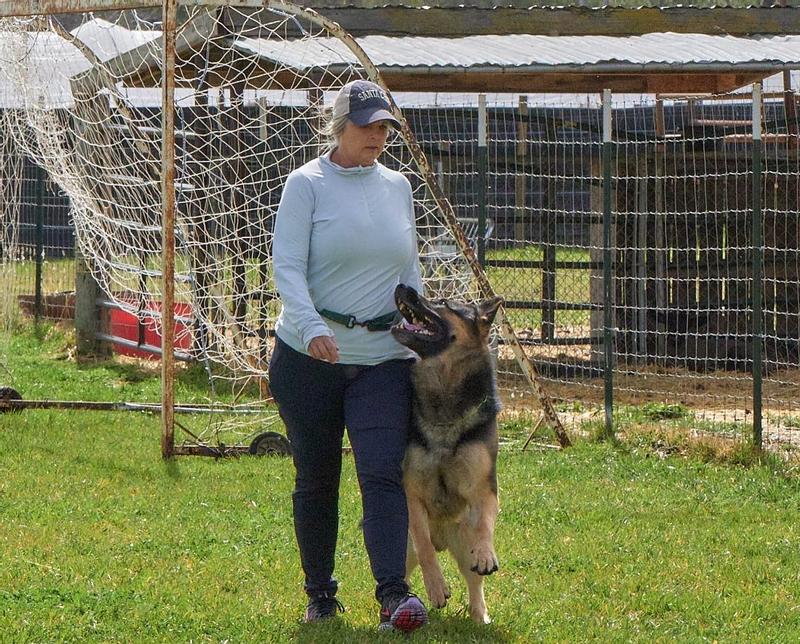 Love these pants!! So comfort and durable for training dogs.