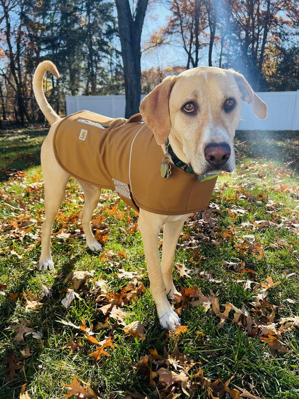 Carhartt Quick Duck Fleece Lined Dog Jacket Hike Camp