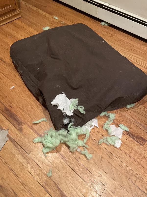 Pretty tough, my dogs are piranhas.