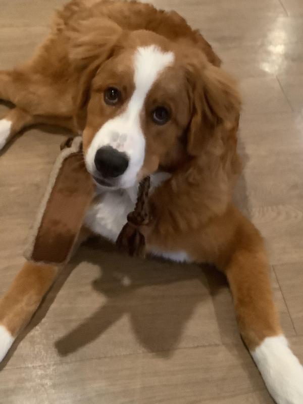 Photo - commentaire 2.