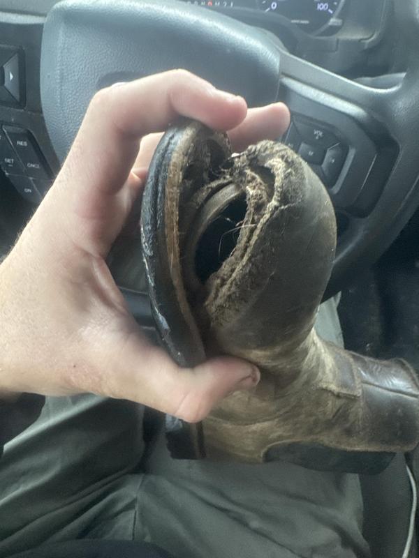Photo submitted with review of product