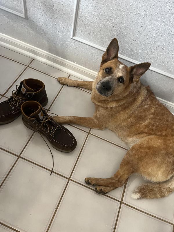 PS - I am not the only one who likes them