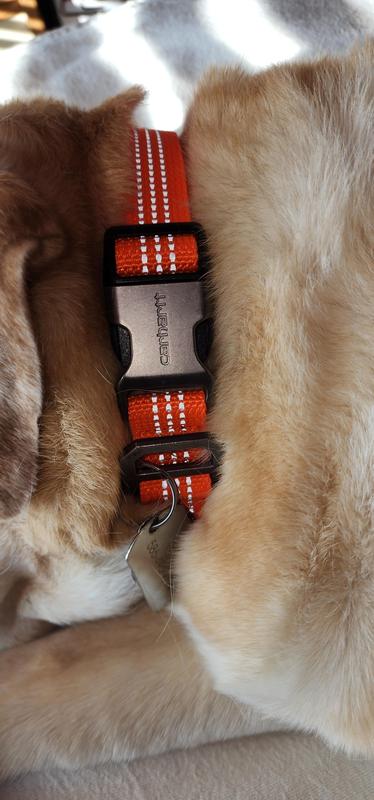 Carhartt Medium Tradesman Collar - P000034380103