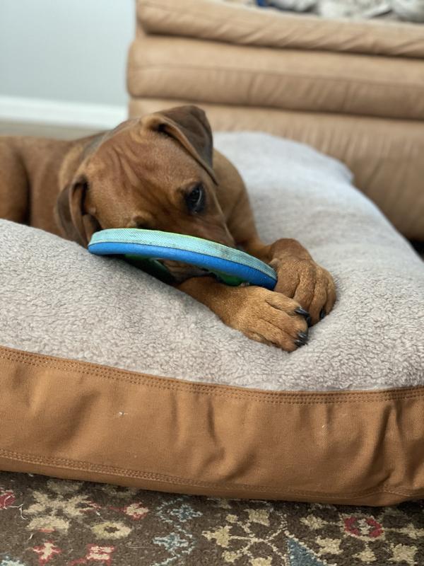 Carhartt Sherpa Top Dog Bed Hike & Camp