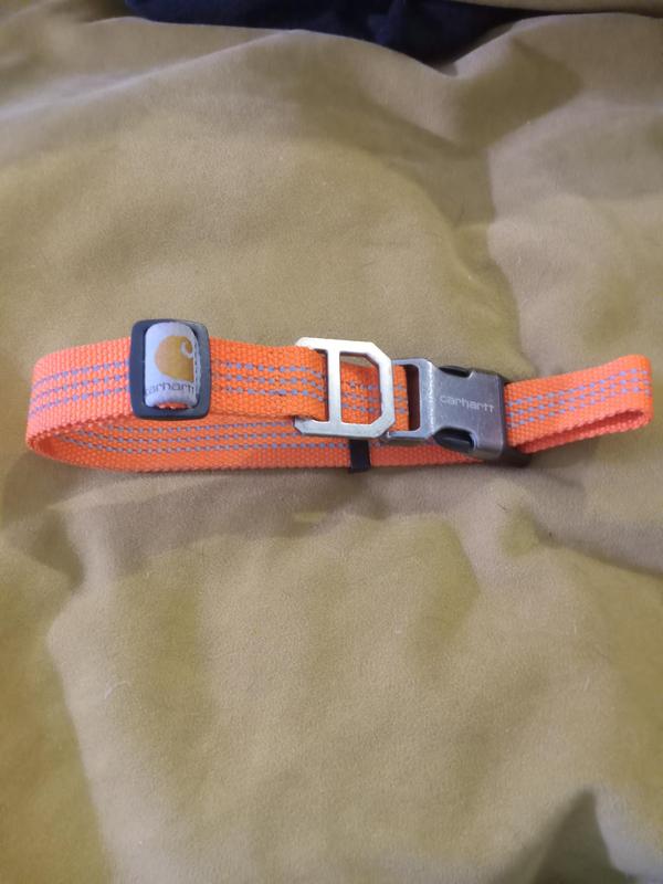 Carhartt Dog Collar - Hike & Camp