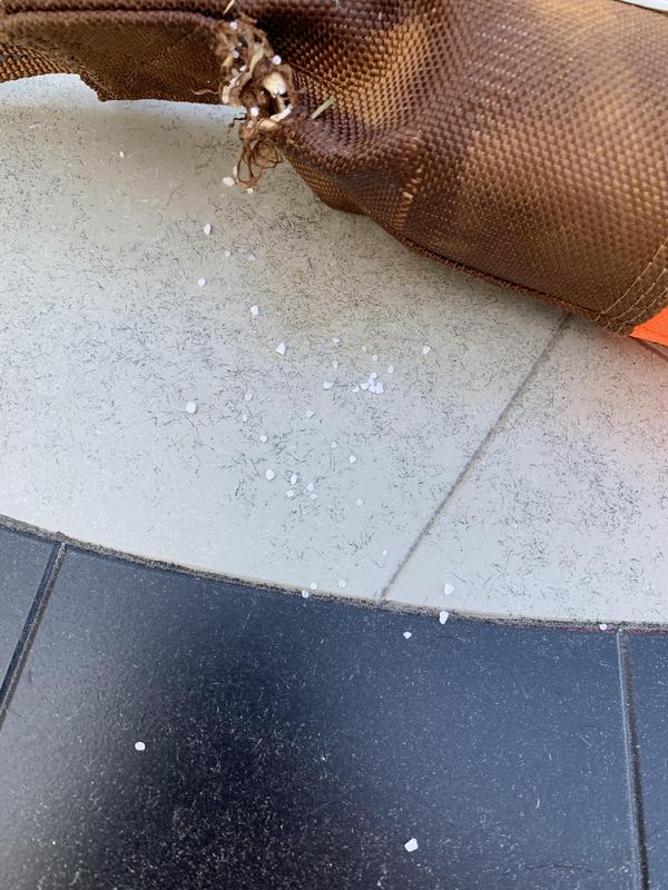 White pebbles falling out of hole dog made. The whole orange part of toy is filled w/ these pebbles