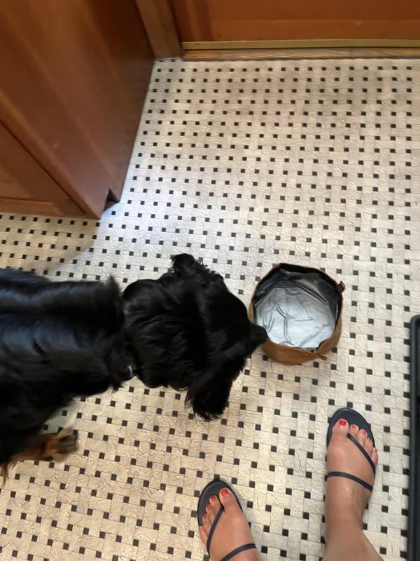 カーハート Nylon Duck Travel Dog Bowl 20743937?$pdp-gallery-ng$