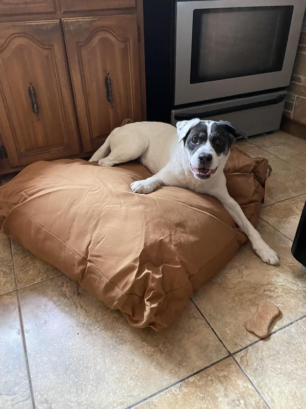 Large carhartt dog bed hotsell