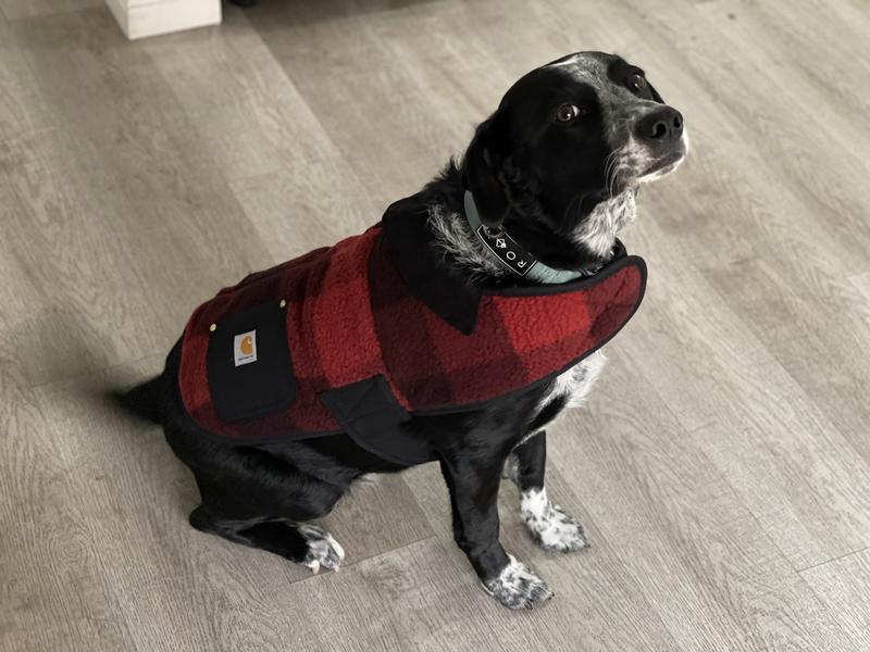 Dog Chore Coat Carhartt Gear For Dogs Duck Insulated Carhartt