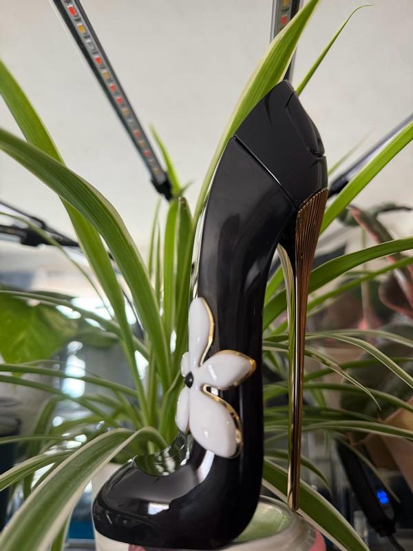 Review Thumbnail Image 0 1216174863