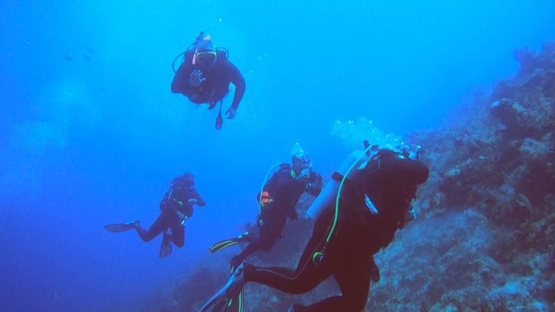 Carnival Cruise Line Revisited - The Scuba Diving Nomad