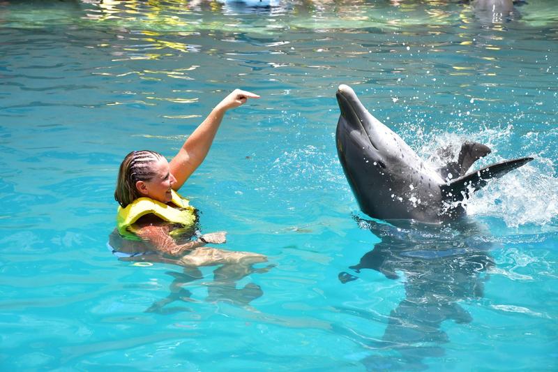 Exclusive Dolphin Swim VIP Experience - CZM Shore Excursions