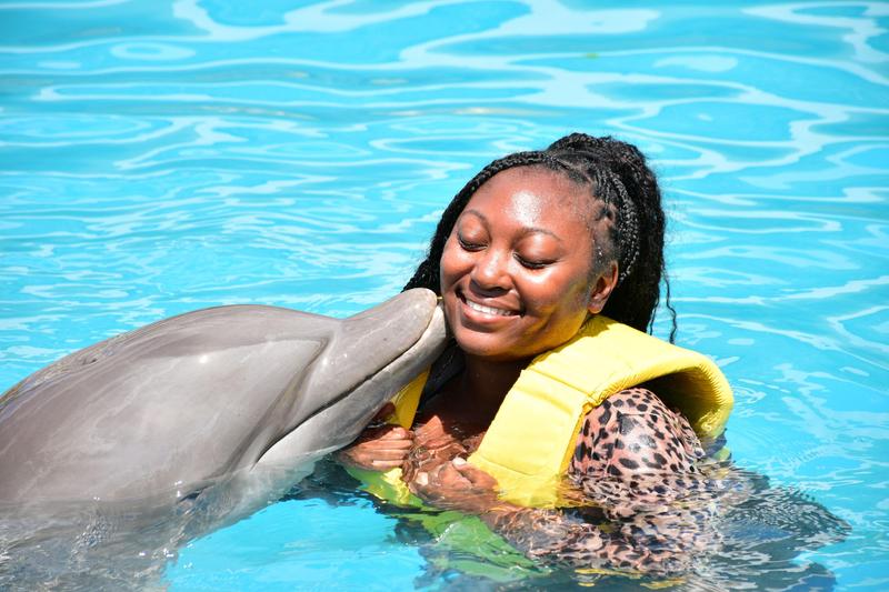 Exclusive Dolphin Swim VIP Experience - CZM Shore Excursions