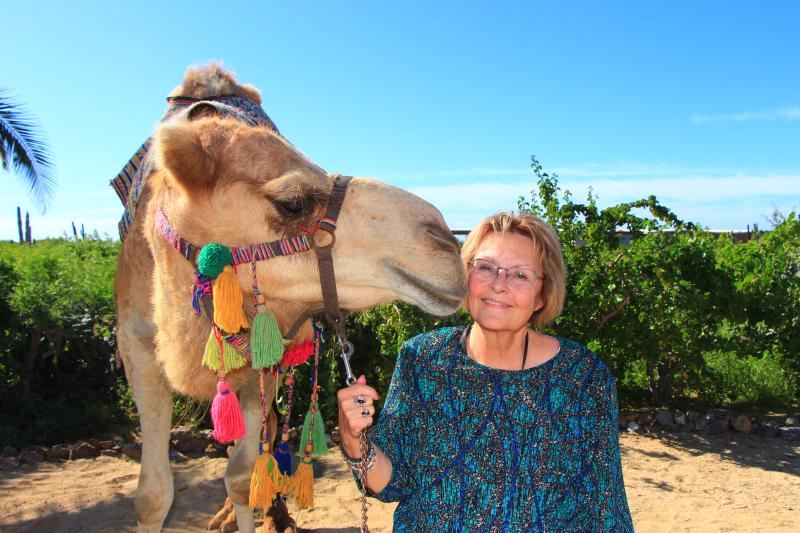 Camel Mexican Outback Adventure With Lunch Csl Shore Excursions Carnival Cruise Line