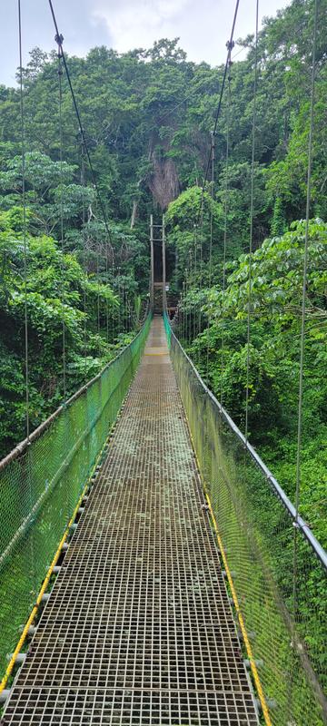 Ultimate Adventure Combo - Mahogany Bay, Roatan Shore Excursions