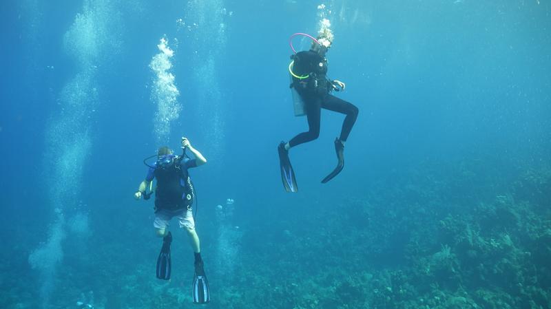 Certified 2 Tank Dive - RTN Shore Excursions