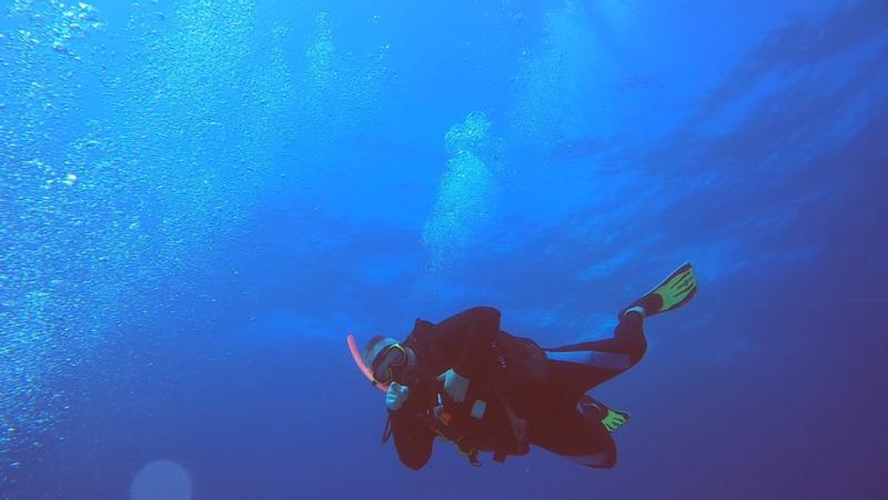 Carnival Cruise Line Revisited - The Scuba Diving Nomad