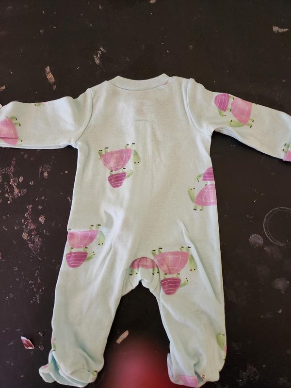 Back side of upside down turtles