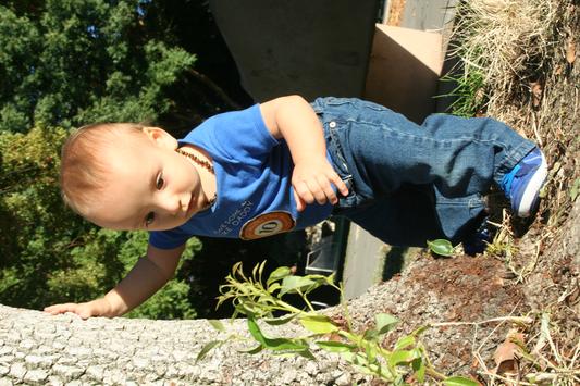 My Stride Rite Explorer