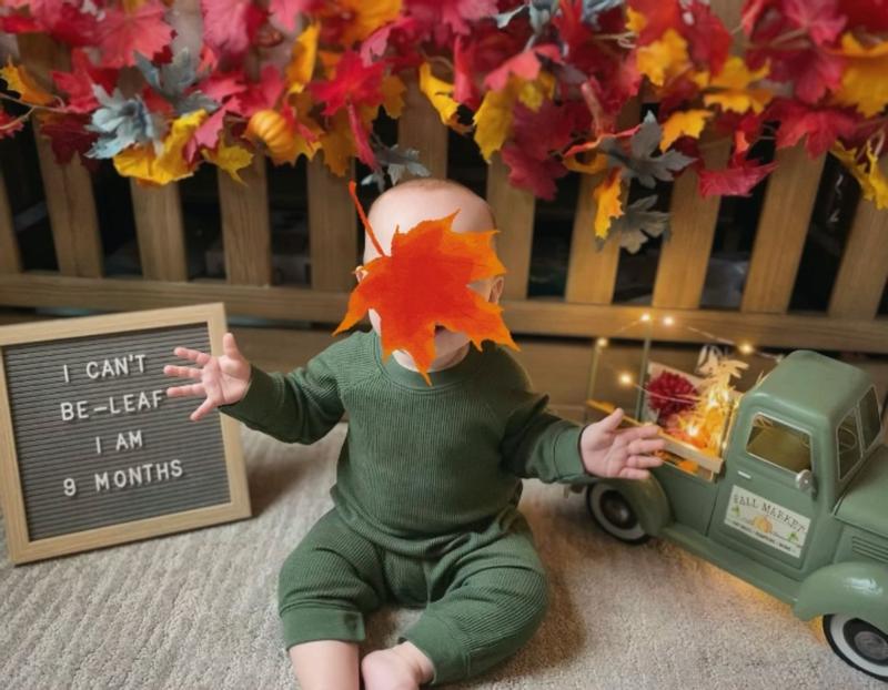 Fall photos