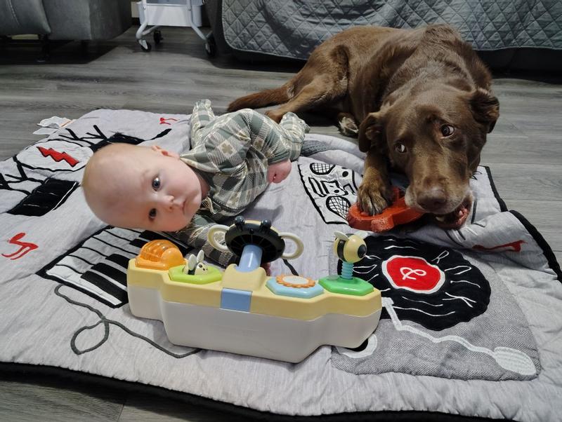 Review Thumbnail Image 0 383008314