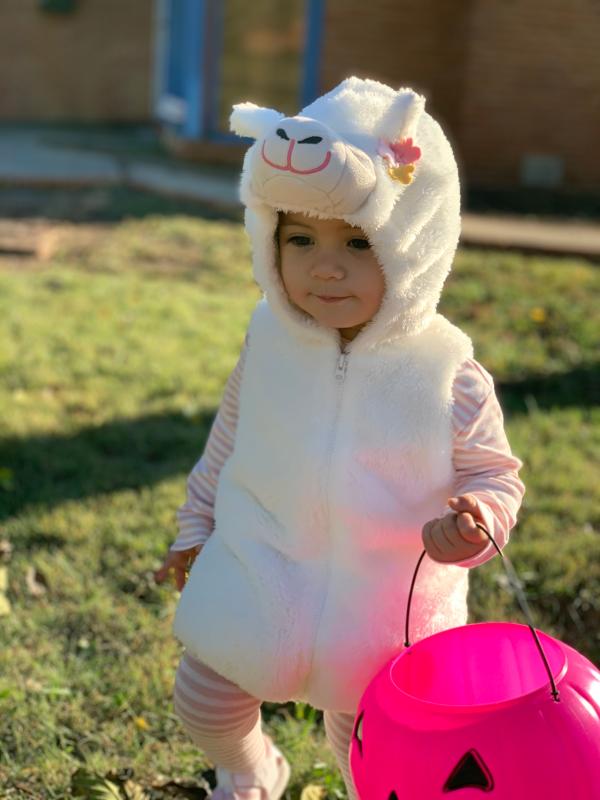 Carter's Baby Girls' Llama Halloween Costume（6-24 Months） 
