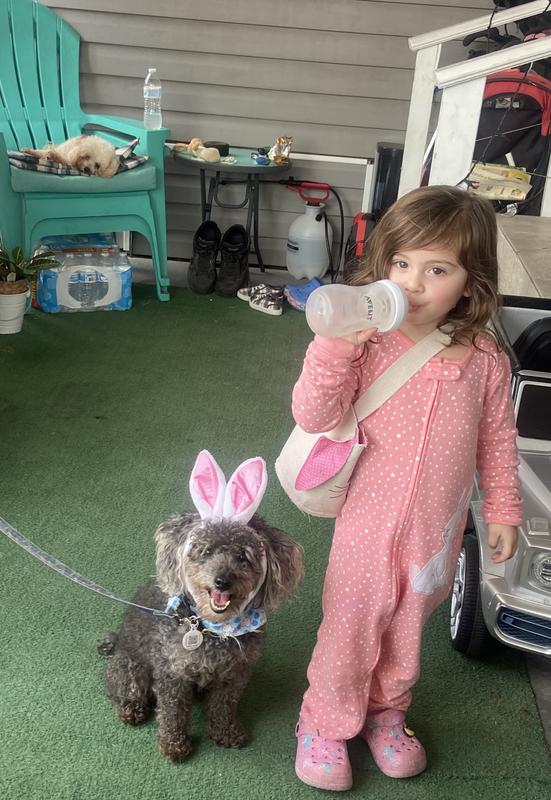 My perfect bunny pair: