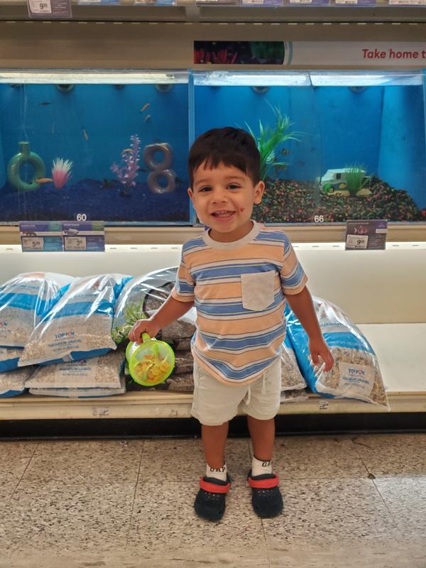 Seeing the fish!