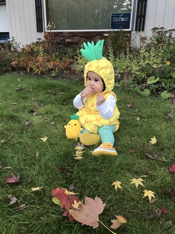 Pineapple and pineapple pal