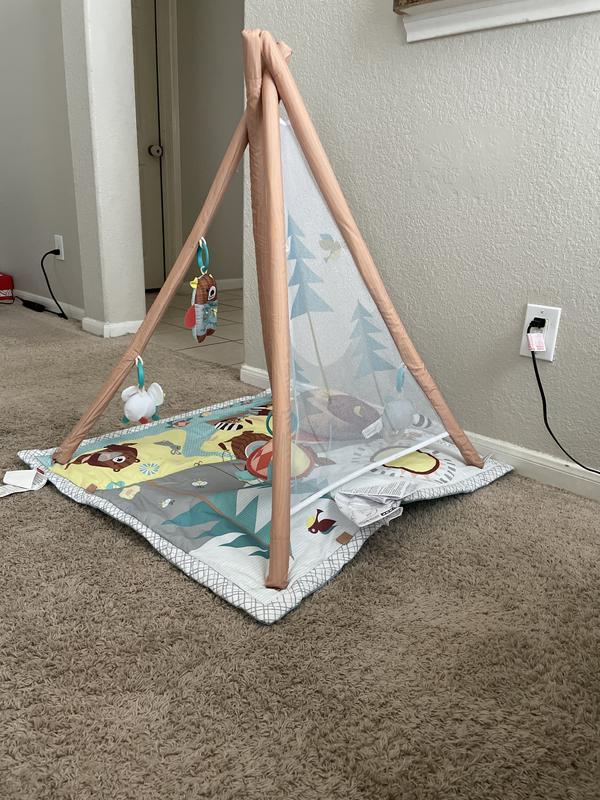 Skip hop camping cubs cheap activity gym