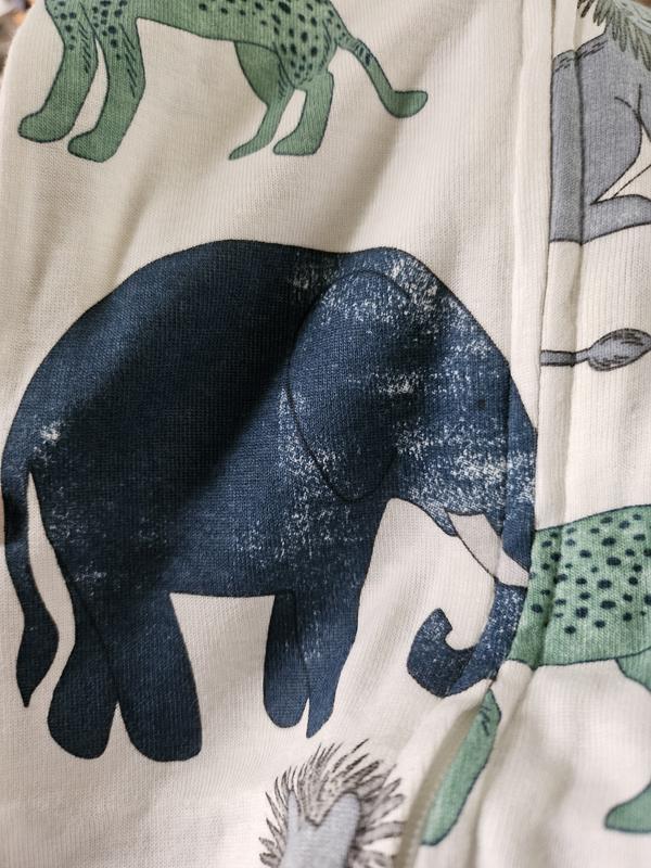 All of the elephants looked like this.