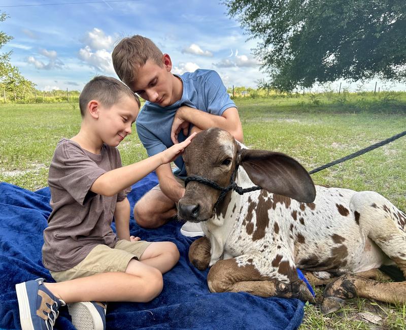 Calf and cuties 🥰