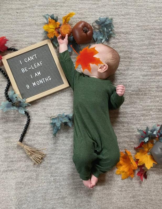 Fall photos