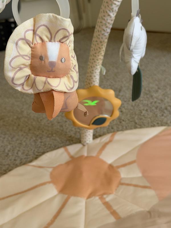 Review image 4