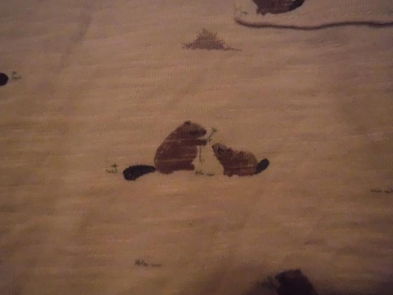 Review image 2
