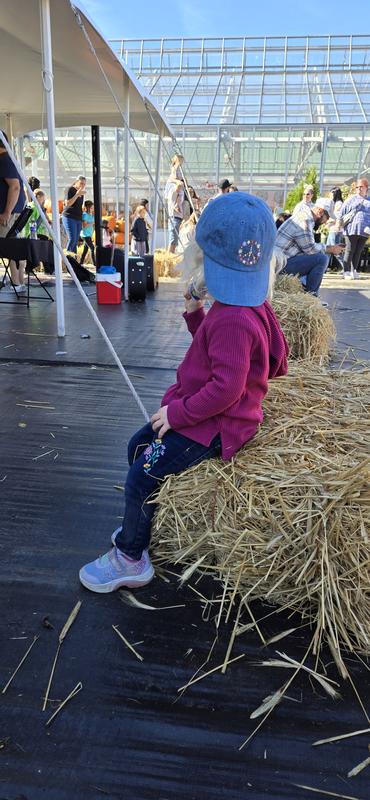 Fall Fest